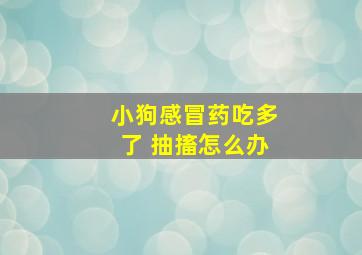 小狗感冒药吃多了 抽搐怎么办